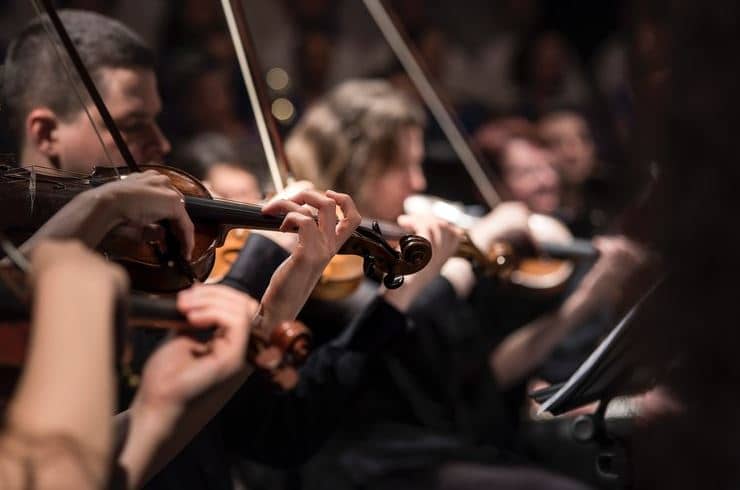 violinist
